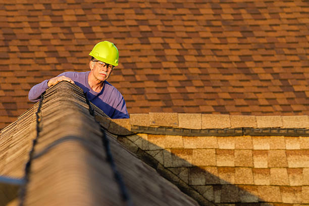 Best Roof Gutter Cleaning  in East Lexington, VA