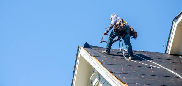 Best Gutter Installation and Roofing  in East Lexington, VA